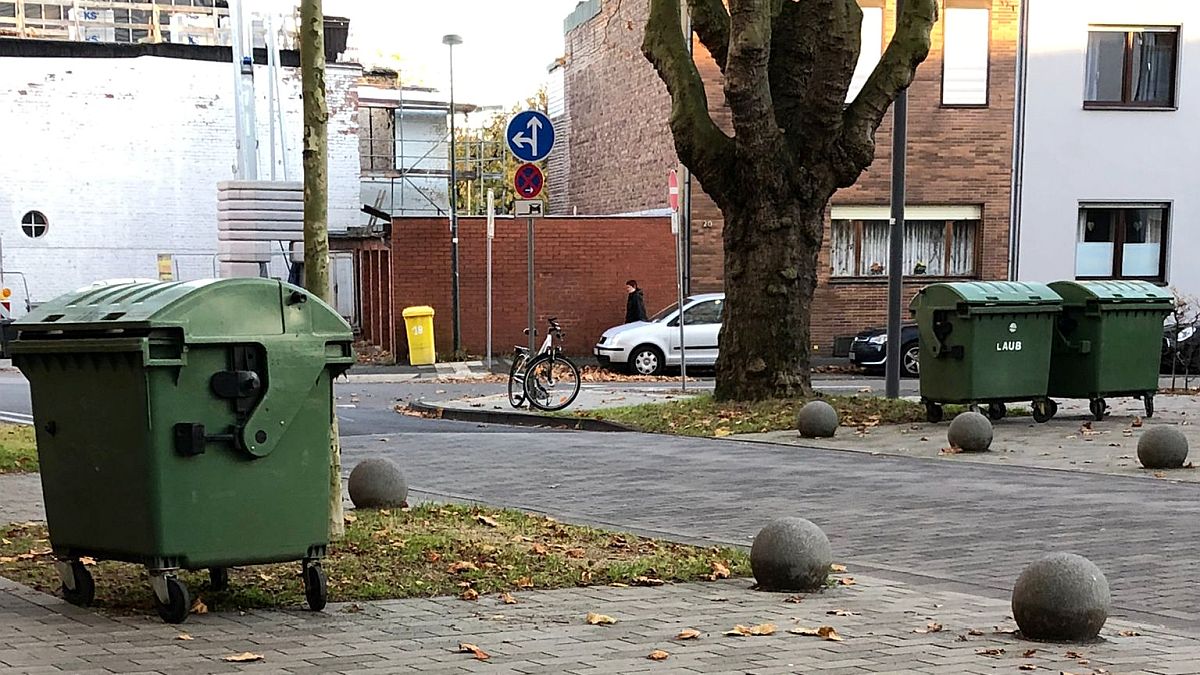 FDP-Antrag: Flexible Abholung der grünen Mülltonne je nach Jahreszeit