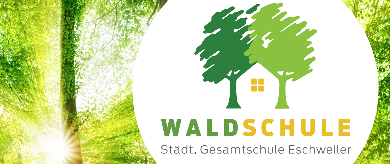 Waldschule